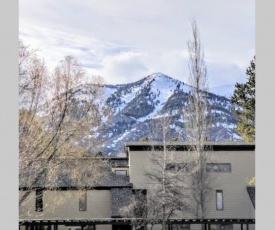 Spectacular Mountain Condo