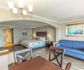 Ocean View King Suite with Modern Decor and Accents - Caravelle Resort 605 Sleeps 4 Guests